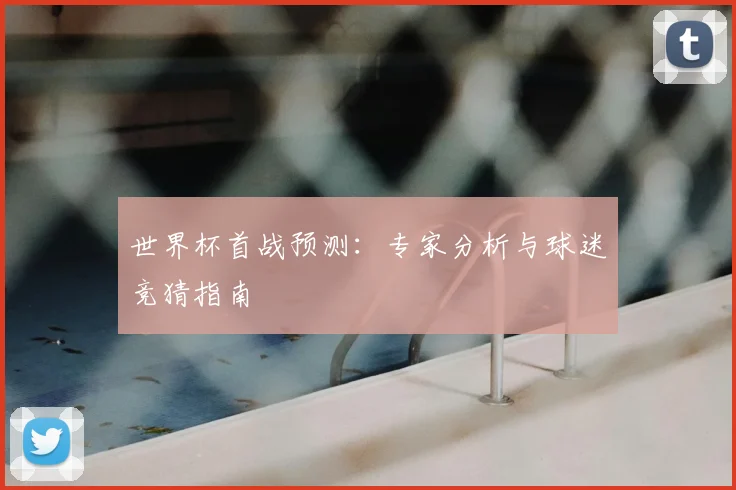 世界杯首战预测：专家分析与球迷竞猜指南